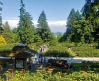 branam dr avenue of roses portland