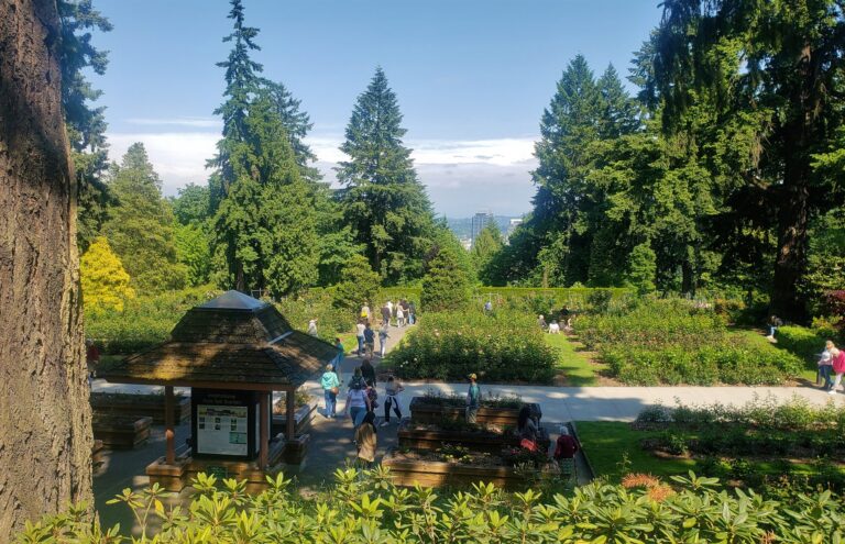 branam dr avenue of roses portland